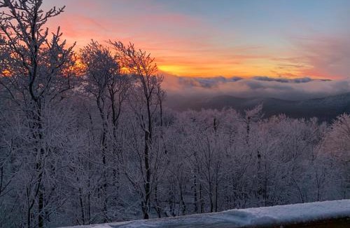West Jefferson House | Above The Clouds