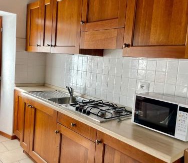 Champorcher Apartment | Abri Vigneroisa appartamento Miserin