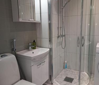 Vaasa Apartment | Active teerenpeli