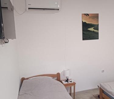 Pirot Apartment | Adamovic