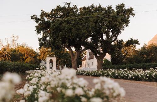 Paarl Hotel | Adara Palmiet Valley Luxurious Boutique Farm Hotel