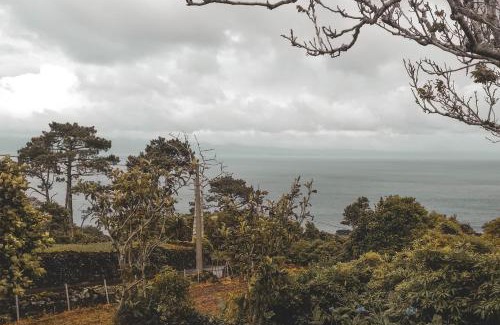 Prainha Villa | Adegas do Pico