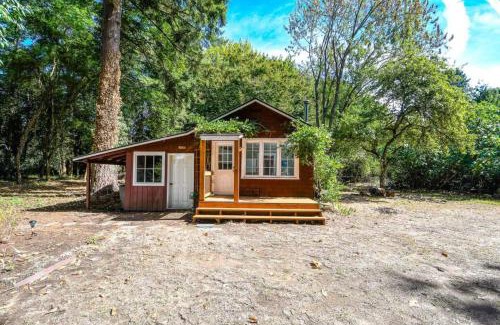 Old Evergreen Highway House | Adorable Cottage Among Trees Close To Everything