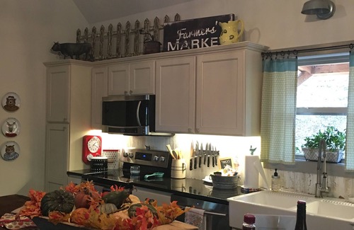 Marble Falls Cabin | Adorable Cottage/Cabin nestled between the Little and the Big Buffalo River