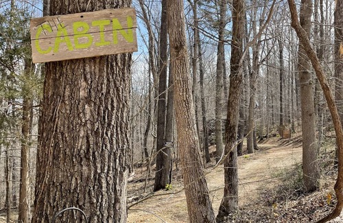 Marble Falls Cabin | Adorable Cottage/Cabin nestled between the Little and the Big Buffalo River