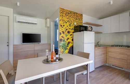 Karigador House | Adriamar Mobile Homes in Camping Park Umag /Adriamar 2436 Park Umag