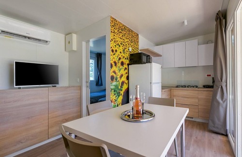 Karigador House | Adriamar Mobile Homes in Camping Park Umag /Adriamar 2438 Park Umag
