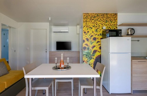 Karigador House | Adriamar Mobile Homes in Camping Park Umag /Adriamar 2443 Park Umag