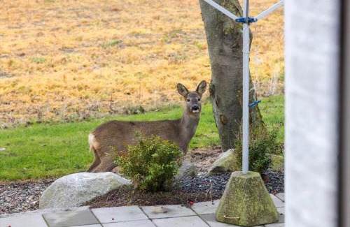 Aeroskobing House | AE299-Aeroskobing-Ryggerholmevej-2