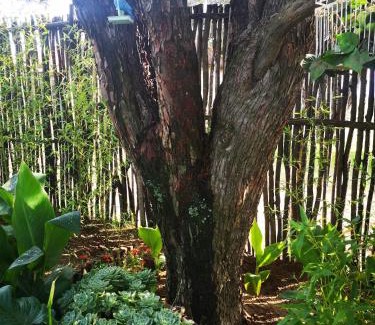 Fouriesburg House | Affi lande Boetiek guestfarm