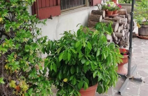 Olmeneta House | Affittacamere Ciro