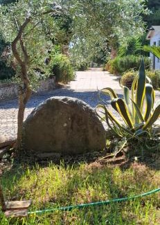 Scalea House | Affittacamere Villa Brazzano