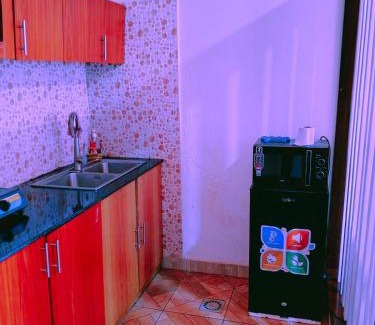 Kigali Apartment | Affordable luxury apartment, walk to city cente