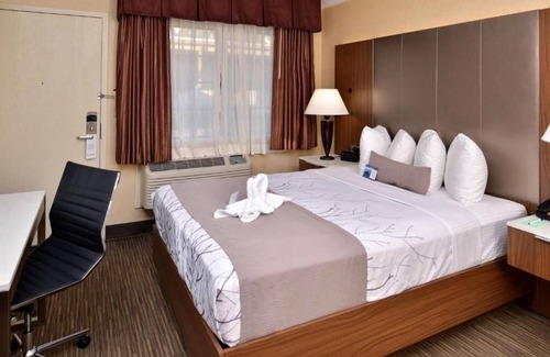 Hollywood Hotel | Affordable & Relaxing Stay Minutes from Iconic Hollywood Spots