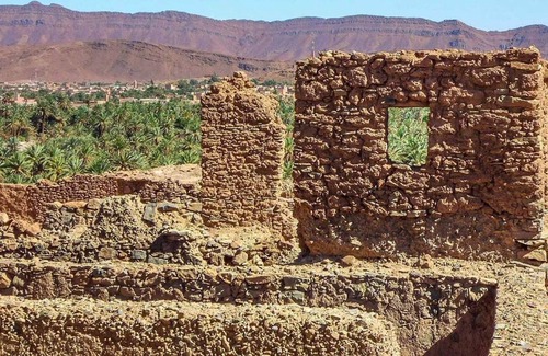 Tata House | Afra Peace House ( Palm Tree Oasis )