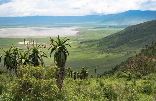 Sinoni Other | Africa Safari South Serengeti Ndutu Ngorongoro
