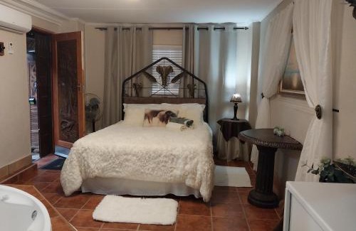 Stilfontein House | African Elephant's Den