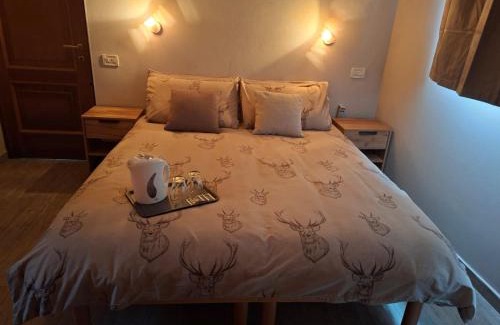 Domodossola House | Agli Chalet Bosco- parcheggio e colonnina ricarica auto elettrica con supplemento