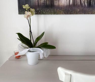 Castiglione delle Stiviere House | Agriturismo Albana