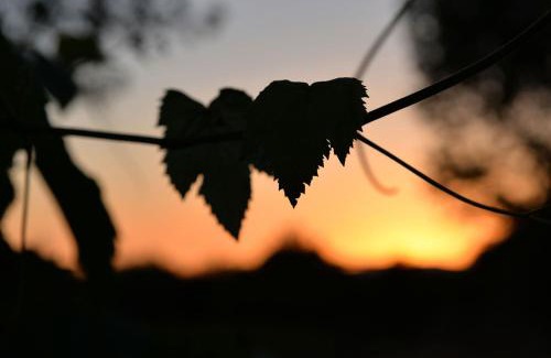 Tuscania House | Agriturismo Arte et Agricoltura