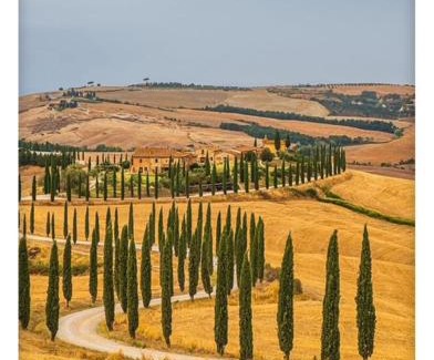 Bollano House | Agriturismo Baccoleno
