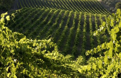 Greve in Chianti House | Agriturismo Castello Di Querceto