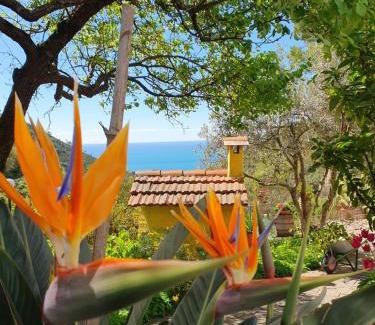 Vernazza House | Agriturismo Costa di Campo