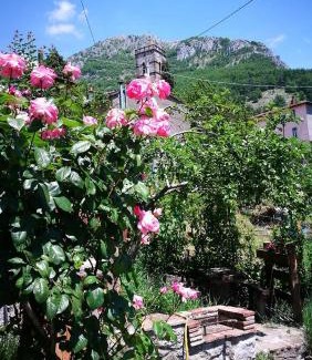 Corfino Villa | Agriturismo dal nonno Merico