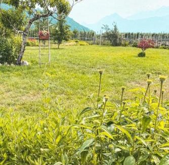 Caldonazzo House | AGRITURISMO DAL PEROTIN