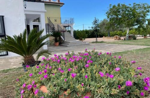 Corigliano Calabro House | Agriturismo DONNA ROSA