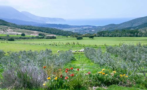 Fluminimaggiore House | Agriturismo Il Ginepro