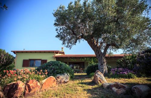 Fluminimaggiore House | Agriturismo Il Ginepro