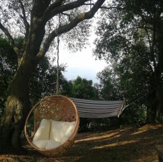 Castiglione della Pescaia House | Agriturismo Il Marrucheto