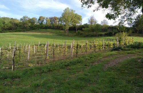 Valfabbrica House | Agriturismo Il Melo
