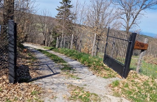 Vivo dʼOrcia Apartment | - Agriturismo La Piaggia - Forest View Apartment on the Ground Floor 2 Guests