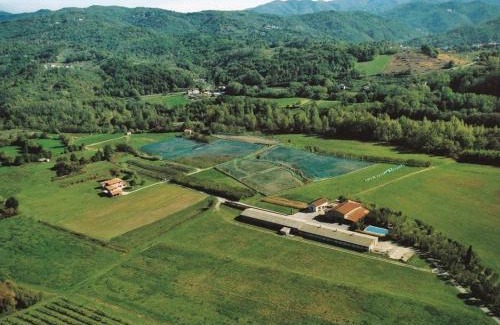 Gassano House | Agriturismo La Praduscella