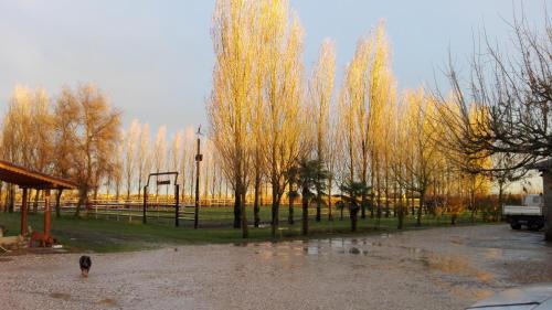 Francolino House | Agriturismo la Strozza
