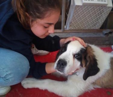 Arborea House | Agriturismo Le Mimose