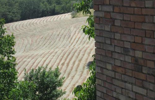 Torrita di Siena House | Agriturismo Santa Maria