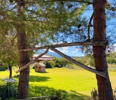 Uta House | Agriturismo Su Niu
