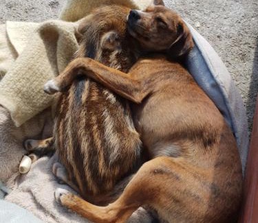 Seulo House | Agriturismo Ticci