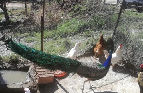 Seulo House | Agriturismo Ticci