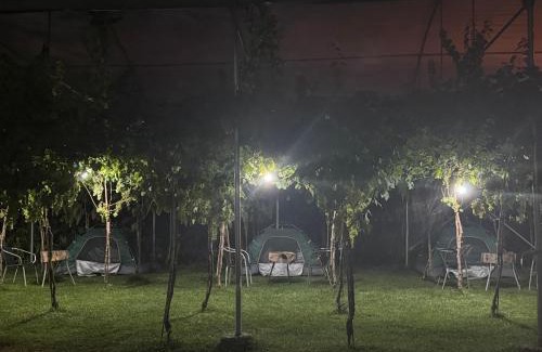 Berat Other | Agro Camping Harmony
