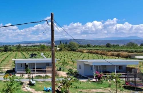 Arta House | Agroktima