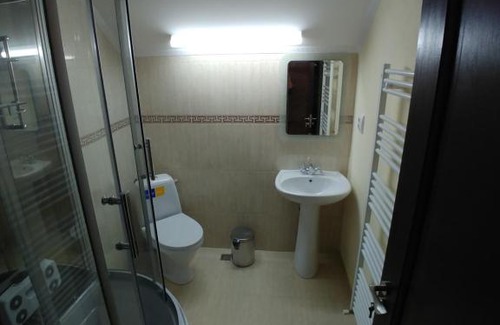 Copalnic-Manastur House | Agropensiunea Olivia