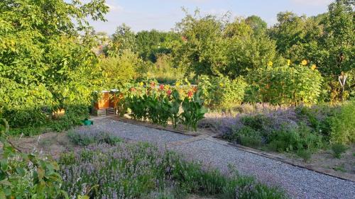 gmina Pacanow House | Agroturystyka u Joli