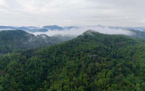 Ingiriya Resort | AHAS GAWWA Eco Lodge