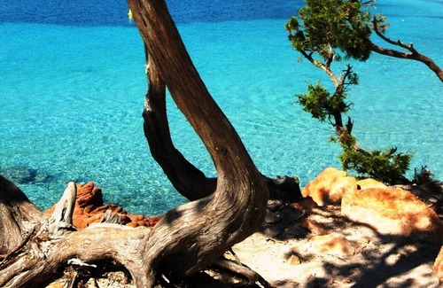 Pinarellu Apartment | Air-conditioned apartment Porto Vecchio, 500 m sea, 6 people, two bathrooms