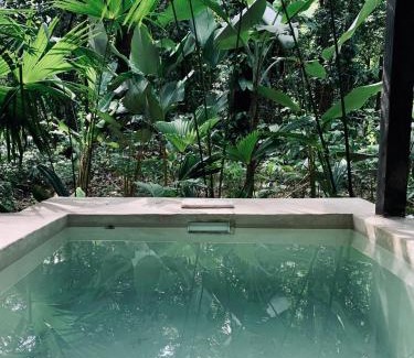 Manzanillo Hotel | AIRE Jungle Boutique Hotel