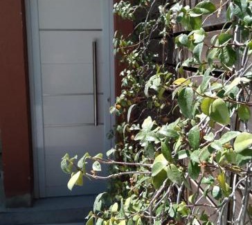 Neuquen Apartment | Aires de la costa Renovado